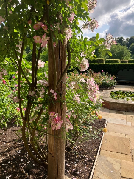 The Walled Garden, Wormsley